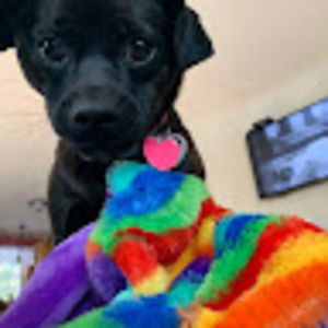 Meet your Posher, Kylie